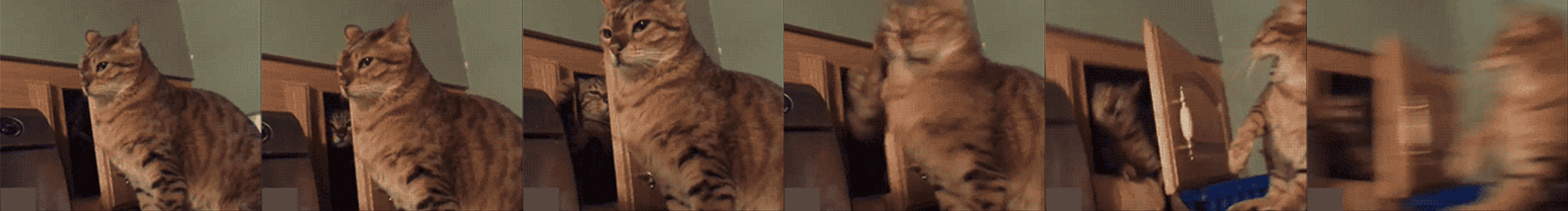 冀希的个人主页（封面预览） - 主页封面设置 - 站酷设计师冀希原创素材 - 站酷ZCOOL