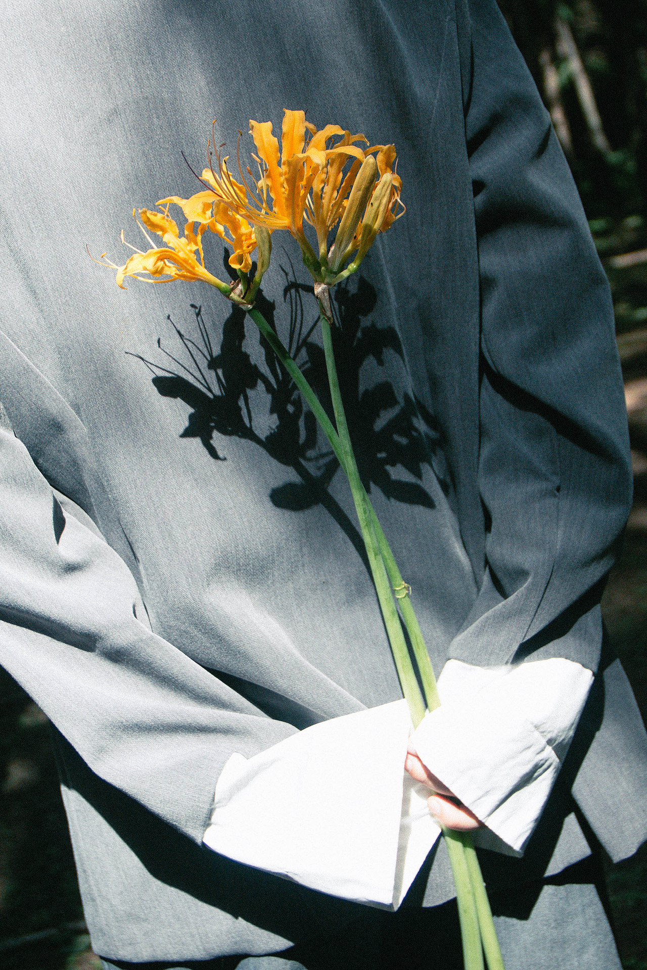 光，落在你脸上