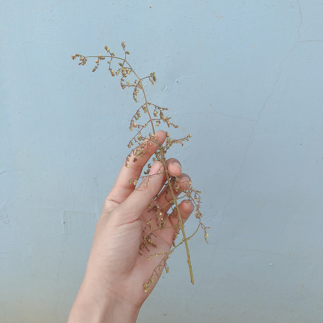 大自然是最美的花店（图ZMTMwNzkzNjk2） - 产品摄影 - 站酷设计师喵了个喵咪L原创素材 - 站酷ZCOOL