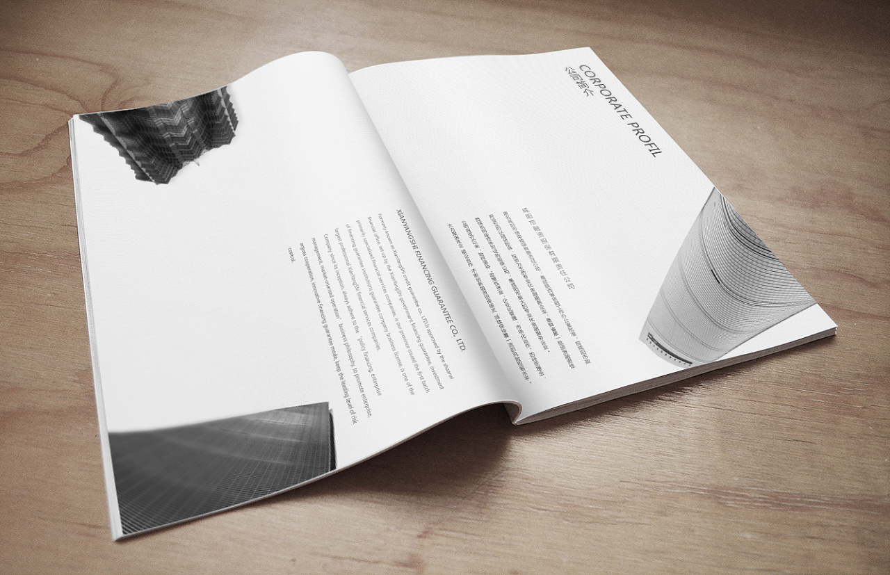 竖版半成品效果图|平面|书装/画册|透先森 - 原创作品 - 站酷 (zcool)