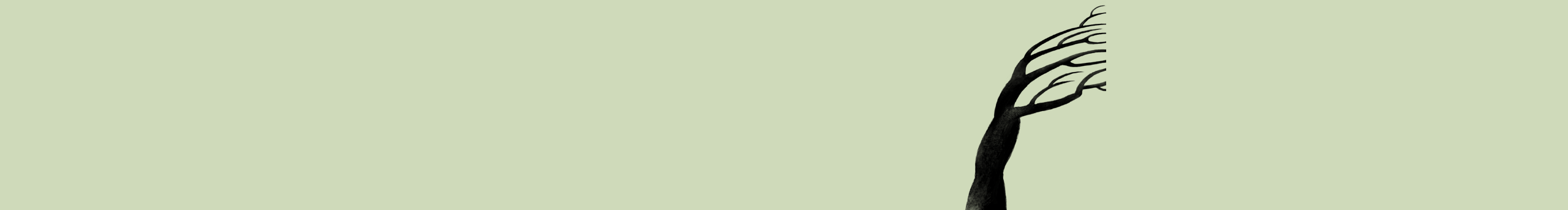 YQ瓜瓜的个人主页（封面预览） - 主页封面设置 - 站酷设计师YQ瓜瓜原创素材 - 站酷ZCOOL