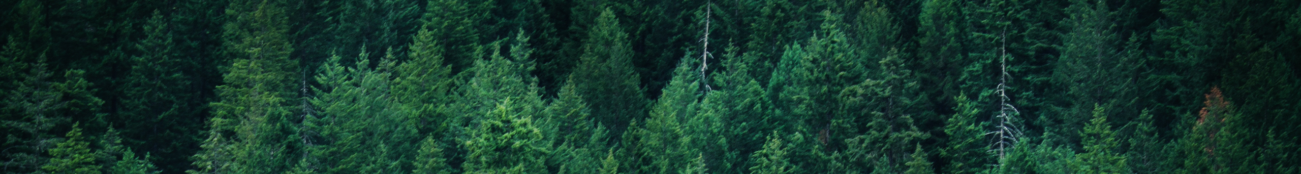 DevR的个人主页（封面预览） - 主页封面设置 - 站酷设计师DevR原创素材 - 站酷ZCOOL