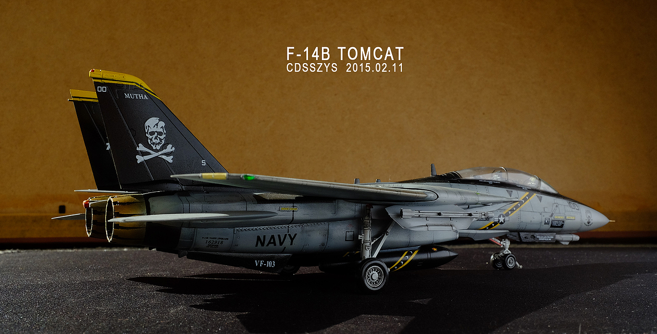 1:72 美国海军重型舰载战斗机 f-14b tomcat 熊猫（图ZMjQ2OTgwNTY=） - 手办/模玩 - 站酷设计师cdsszys原创素材 - 站酷ZCOOL