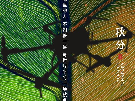 二十四节之秋分