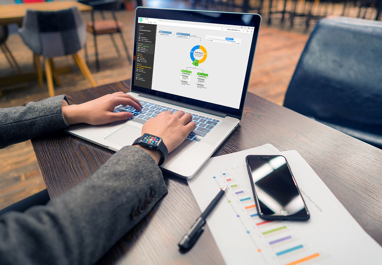 数据可视化-信用金流转状态