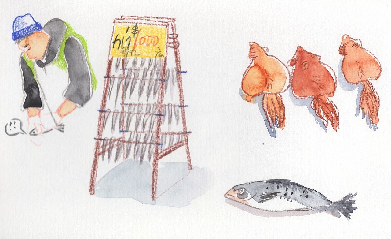 手绘一次旅行｜从东京到千叶、茨城（图ZMTEwNTY1MjU2） - 绘本 - 站酷设计师林田lisa原创素材 - 站酷ZCOOL