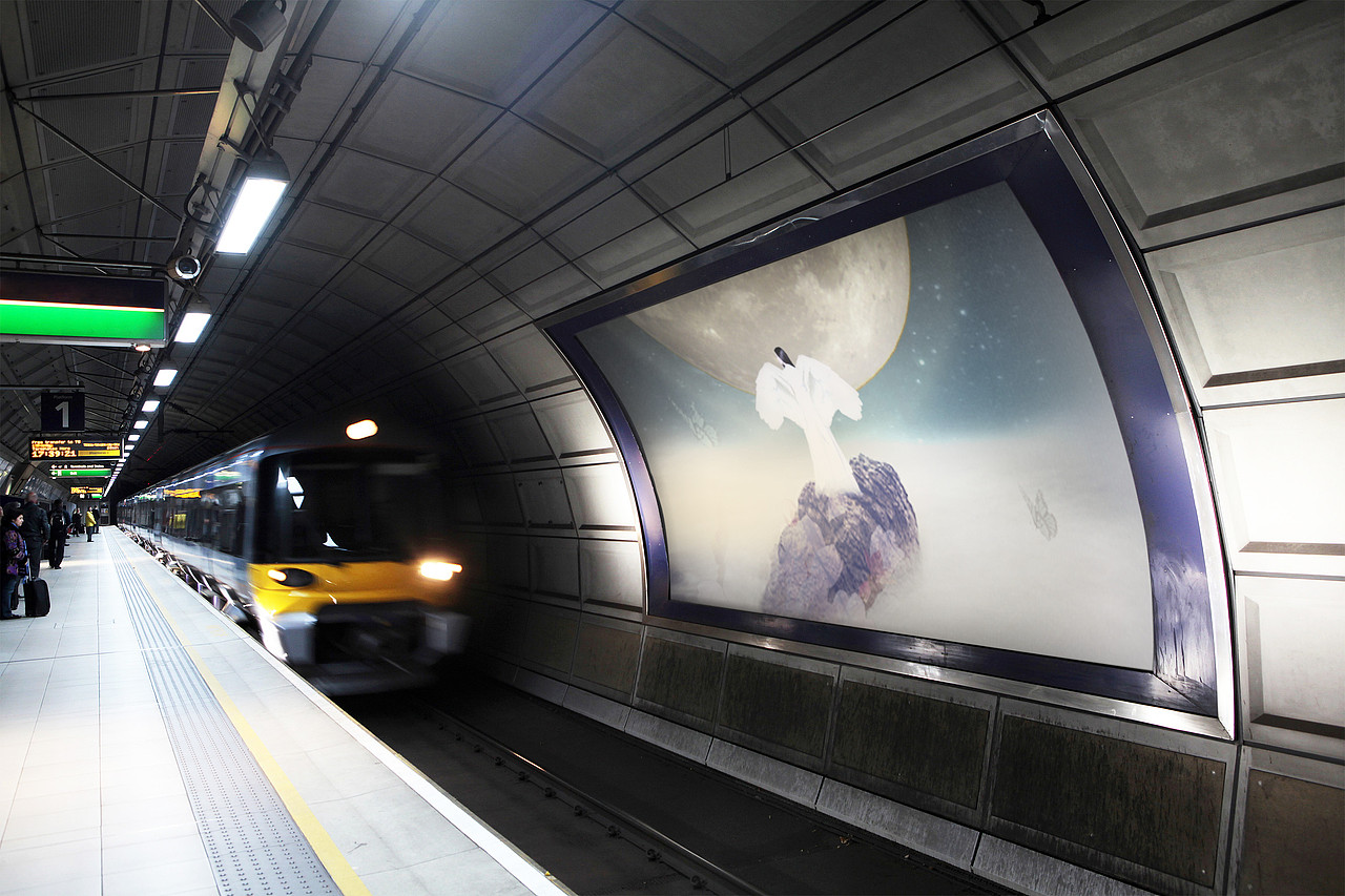 合成海報（圖ZODc0ODMwNDg=） - 海報 - 站酷設(shè)計師lucky_cookie原創(chuàng)素材 - 站酷ZCOOL