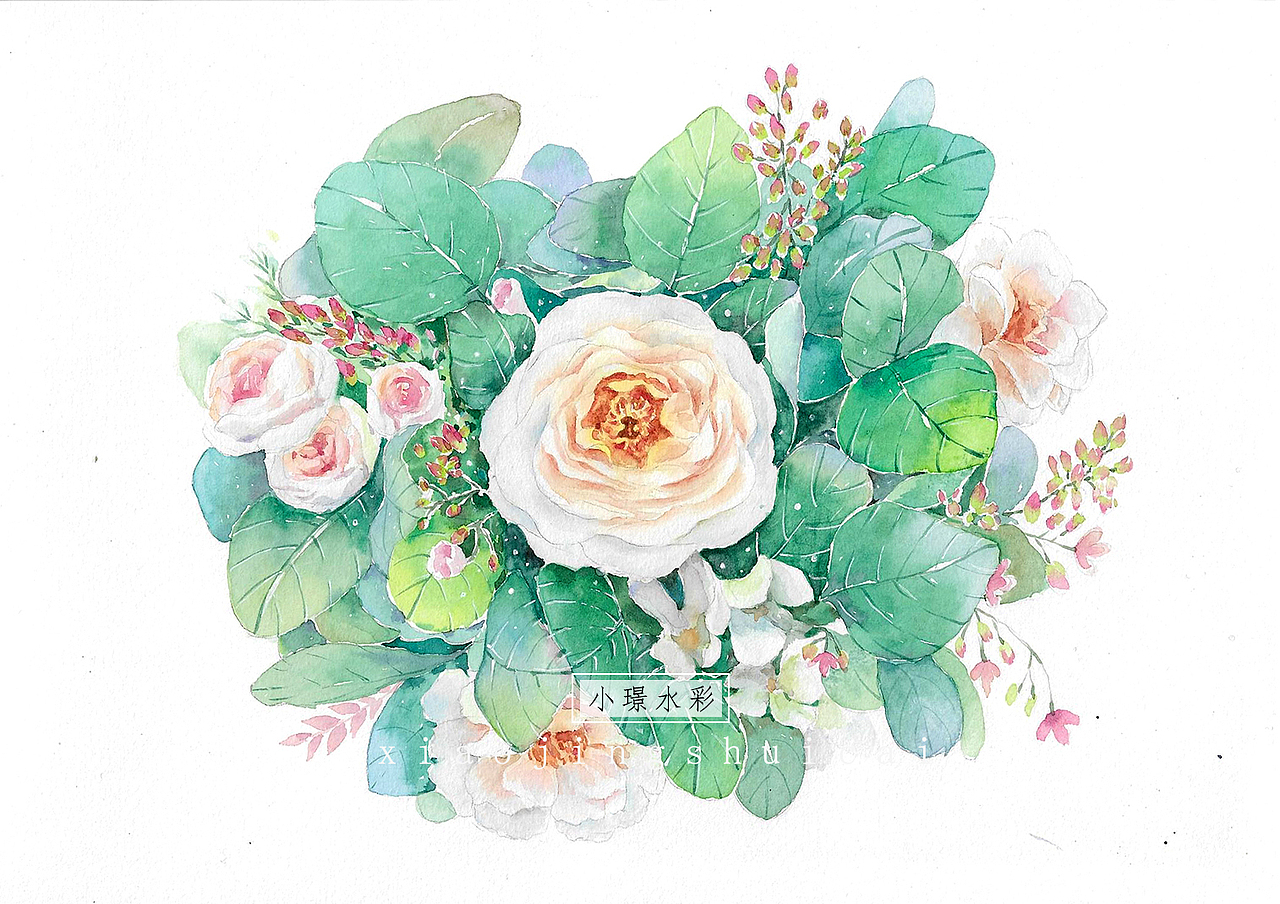 手绘水彩 花束系列(多图)