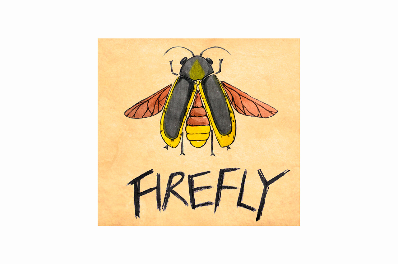 Firefly Luciferase, Recombinant 重组萤火虫荧光素酶 - 上海懋康生物科技有限公司
