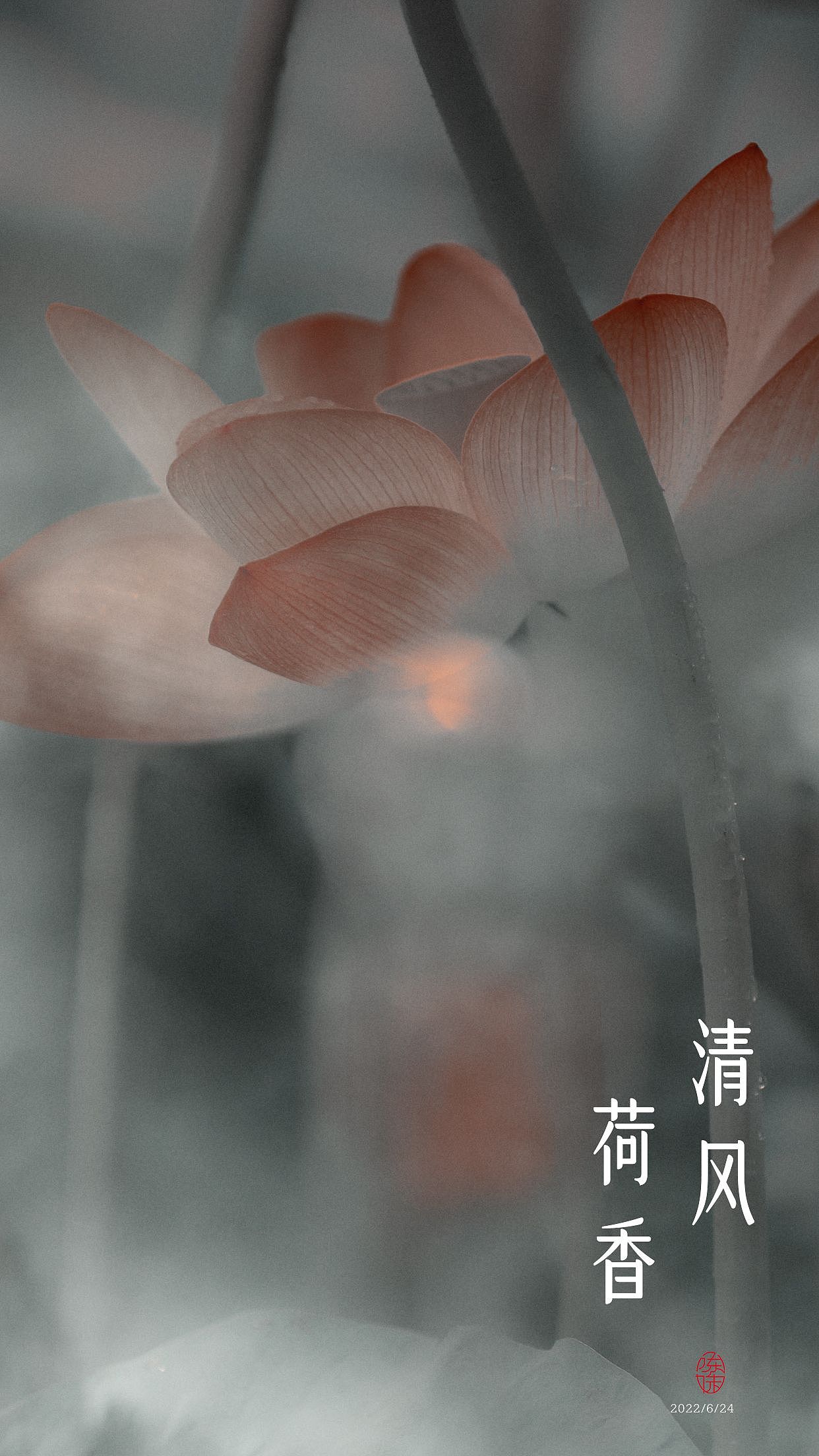 荷的视角（图ZMzA2NDgyMjI4） - 风光摄影 - 站酷设计师木林森15原创素材 - 站酷ZCOOL