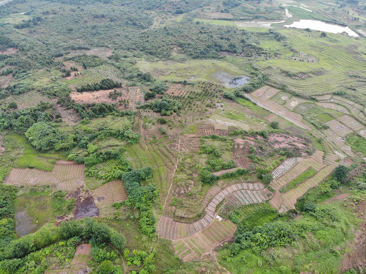 湖南攸县农业旅游