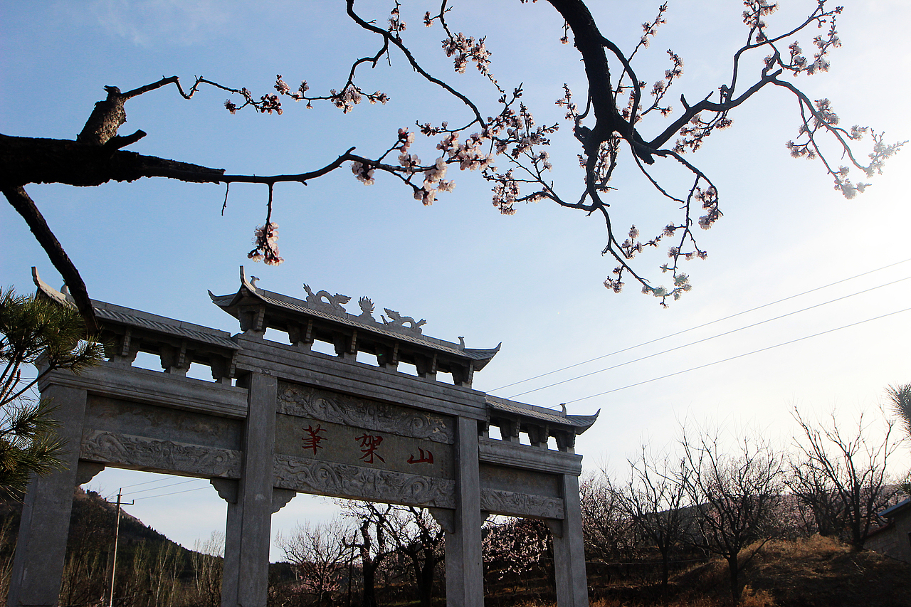 一枝红杏出墙来