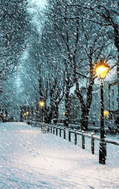 下雪动图夜晚图片