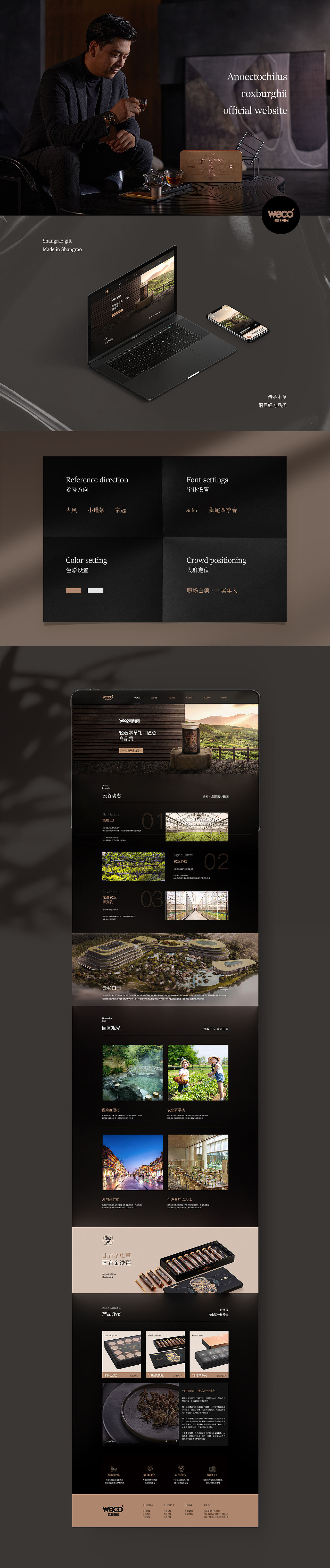 金线莲详情页小罐（图ZMjQ5NjE3MDgw） - 电商 - 站酷设计师爆米花卷原创素材 - 站酷ZCOOL