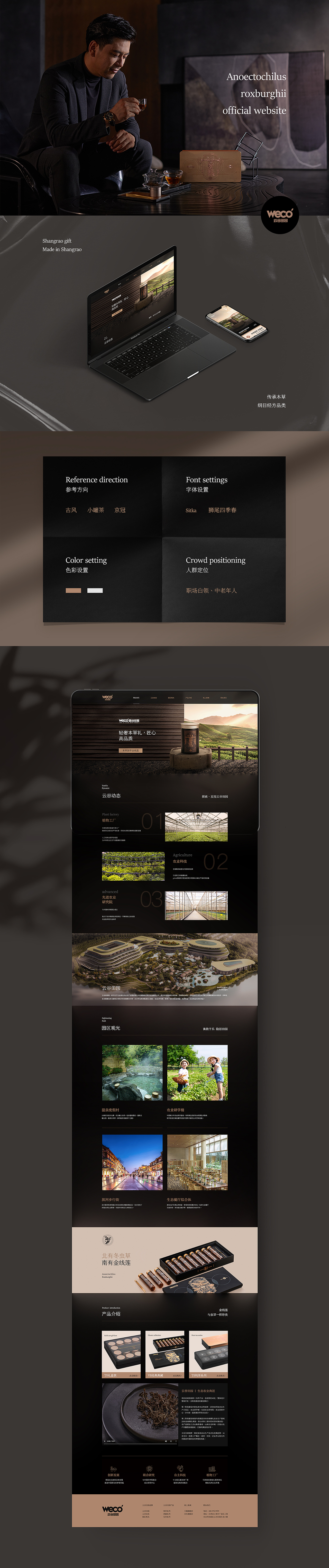 金线莲详情页小罐（图ZMjQ5NjE3MDgw） - 电商 - 站酷设计师爆米花卷原创素材 - 站酷ZCOOL