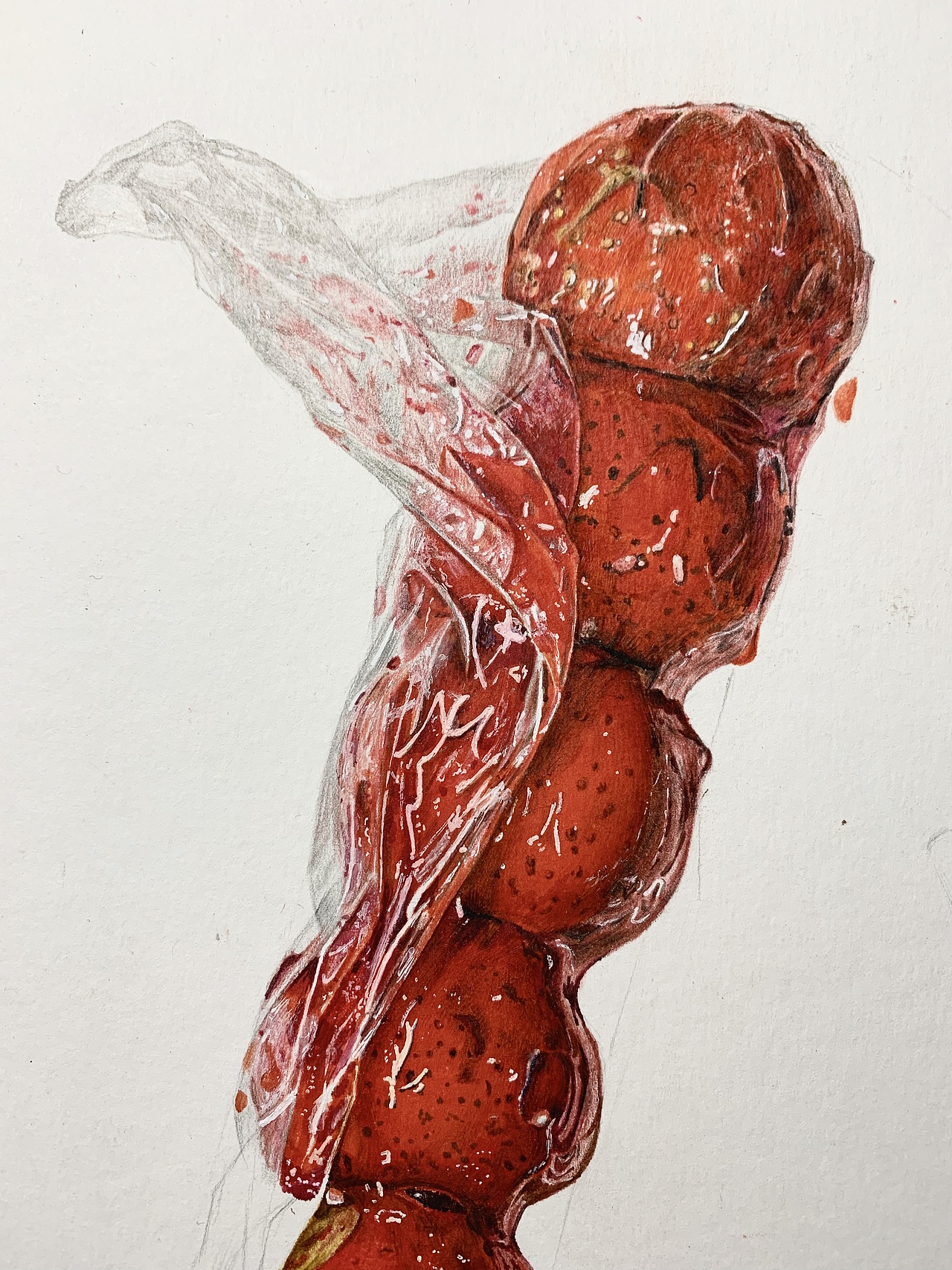 超写实彩铅——糖葫芦（图ZMTk2MDg0OTAw） - 绘画 - 站酷设计师笔尖陌生人原创素材 - 站酷ZCOOL