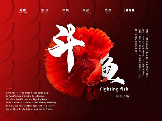 近期网页设计作品