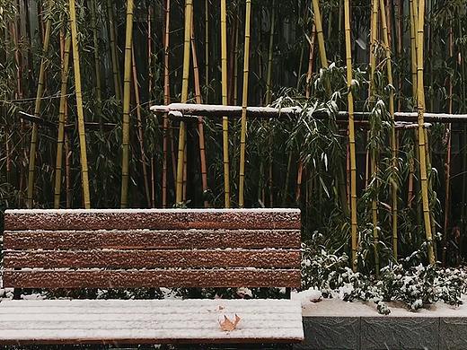 濟(jì)南2020年的第一場(chǎng)雪（個(gè)人主頁(yè)-ZNDIxMTY5NDg=） - 人文/紀(jì)實(shí)攝影 - 站酷設(shè)計(jì)師非正式95后原創(chuàng)素材 - 站酷ZCOOL