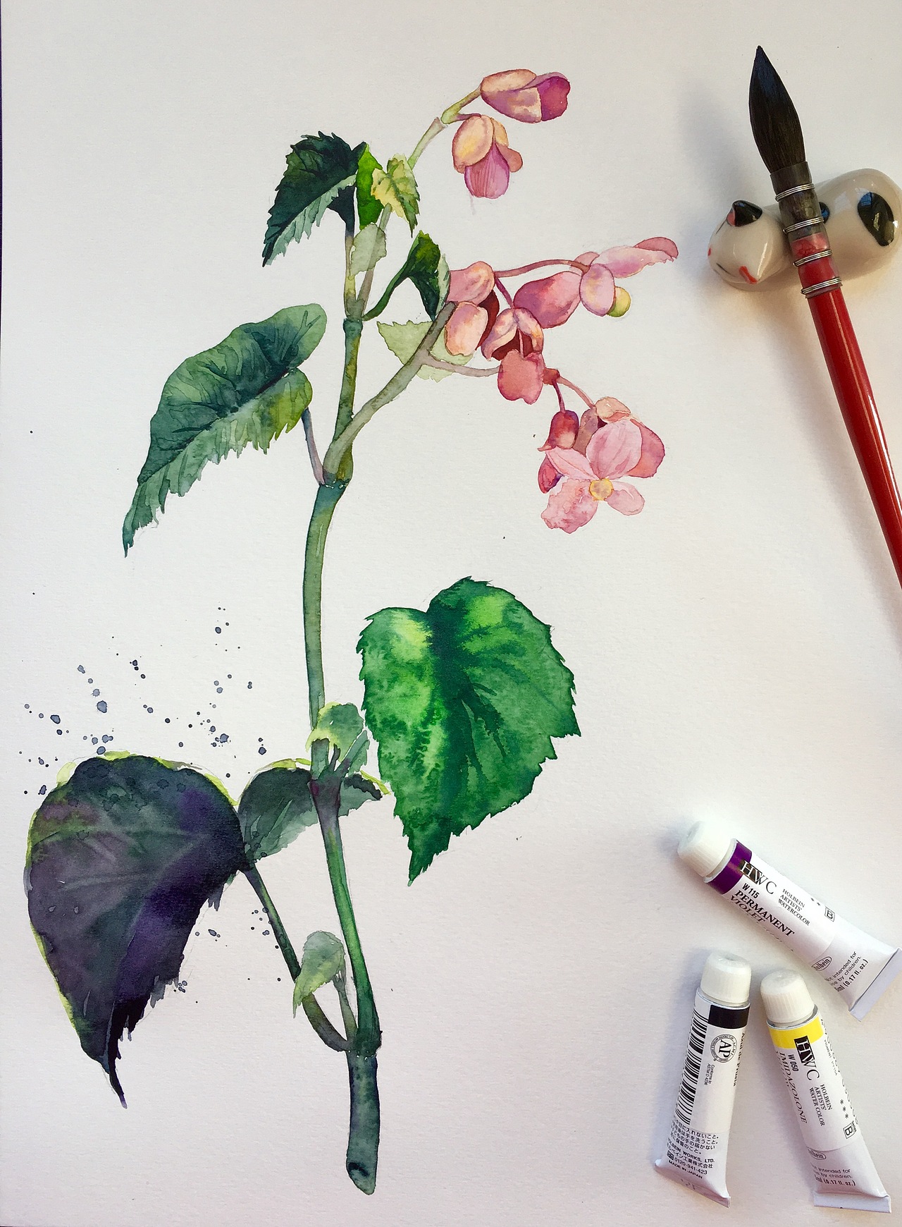 秋海棠（图ZNjgxNDI5MTY=） - 绘画 - 站酷设计师巴不插画原创素材 - 站酷ZCOOL