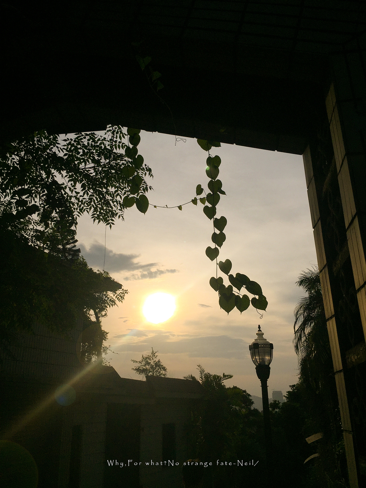 鼓浪屿一角（图ZOTQxNjc1NDA=） - 风光摄影 - 站酷设计师NEILQIU1992原创素材 - 站酷ZCOOL