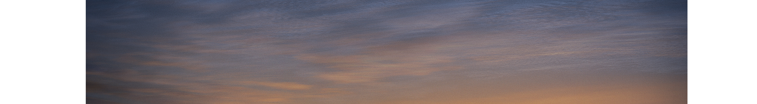 冬儲大蘿卜的個(gè)人主頁（封面預(yù)覽） - 主頁封面設(shè)置 - 站酷設(shè)計(jì)師冬儲大蘿卜原創(chuàng)素材 - 站酷ZCOOL