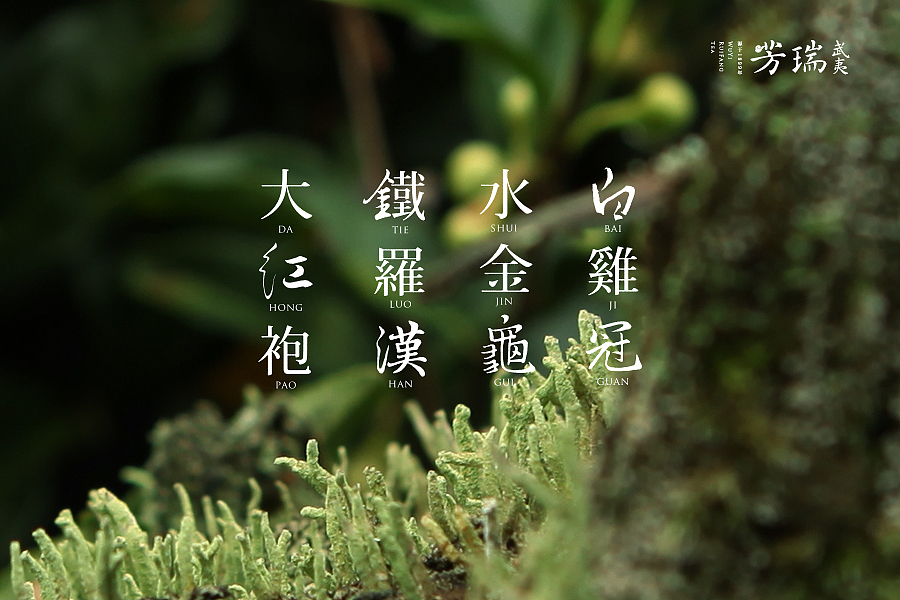 之间设计－武夷瑞芳－茶包装设计（图ZNzU1NDcyOA==） - 包装 - 站酷设计师之间设计原创素材 - 站酷ZCOOL