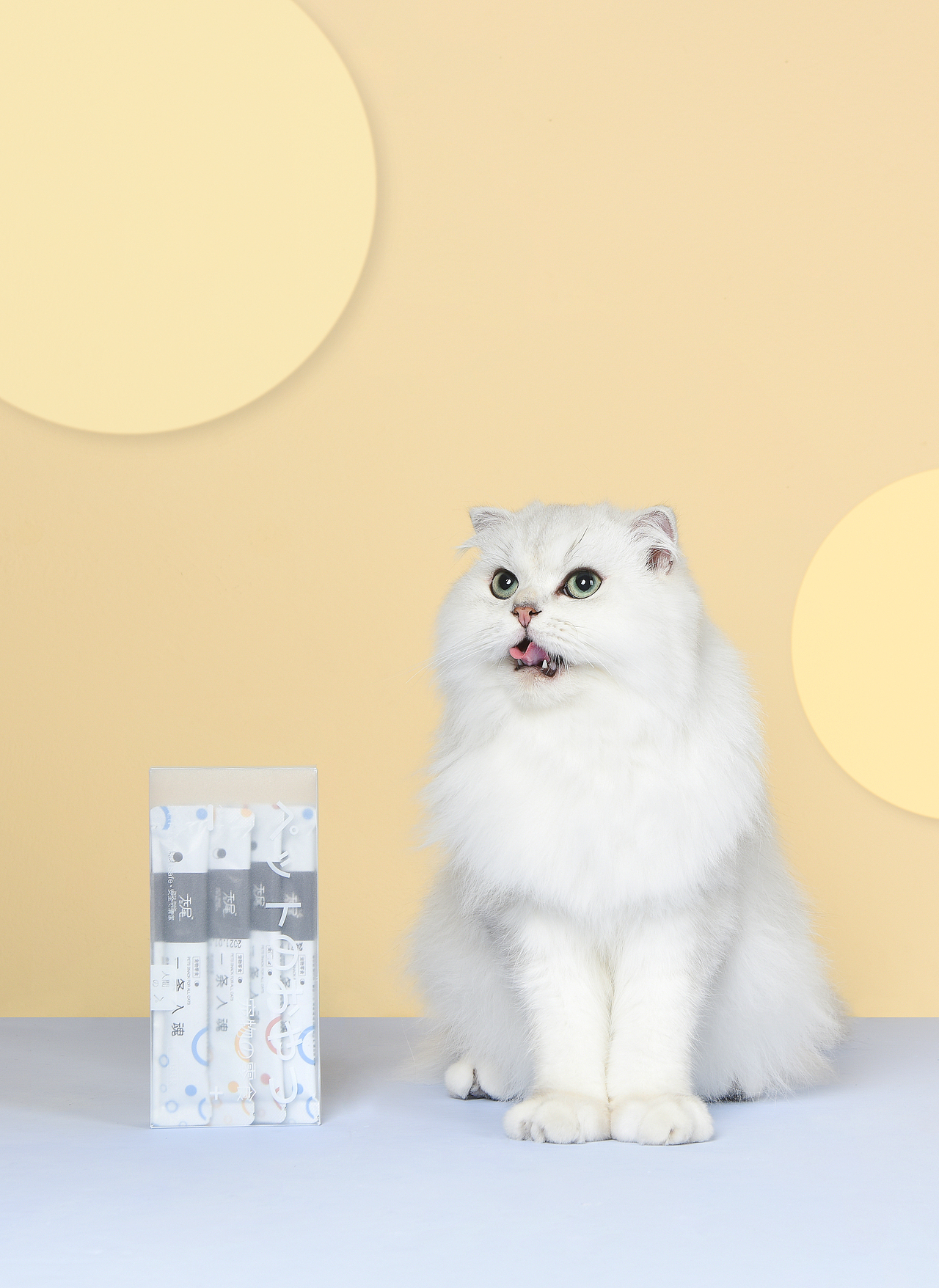 无尾猫条（图ZMjY0Mzc3MDQ0） - 宠物摄影 - 站酷设计师独立摄影原创素材 - 站酷ZCOOL