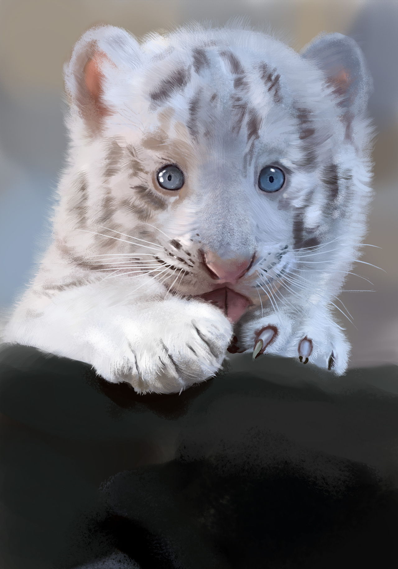 一只可爱的小白老虎.