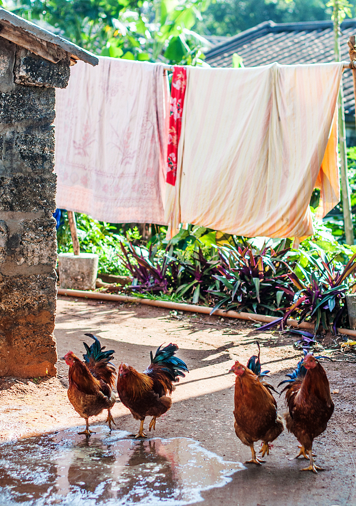 2014.12.28-2015.01.03 北海碧蓝