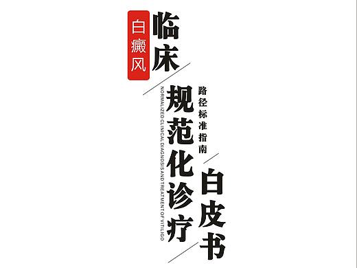 白皮书