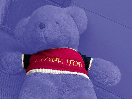 肥萌与流浪熊（个人主页-ZNTY5MTcwNjA=） - 海报 - 站酷设计师基尼实在是太魅原创素材 - 站酷ZCOOL