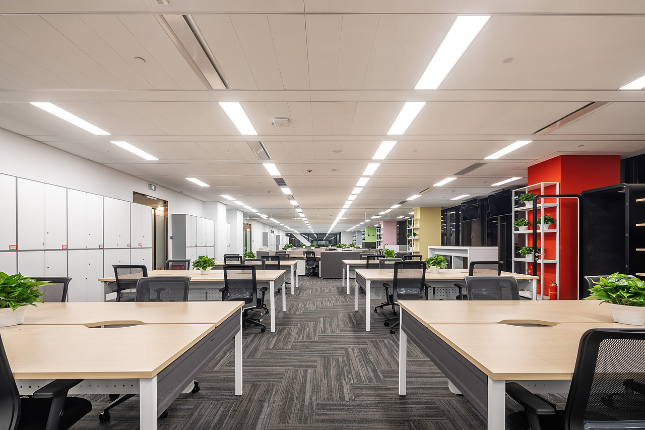 佳能（中国）完工照片