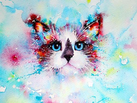 水彩下的猫青年