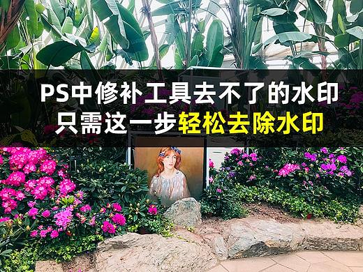 PS中修补工具去不了的水印，只需这一步轻松去除水印