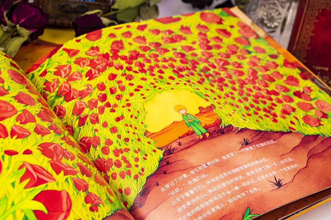 《小王子纯美珍藏绘本》手绘版