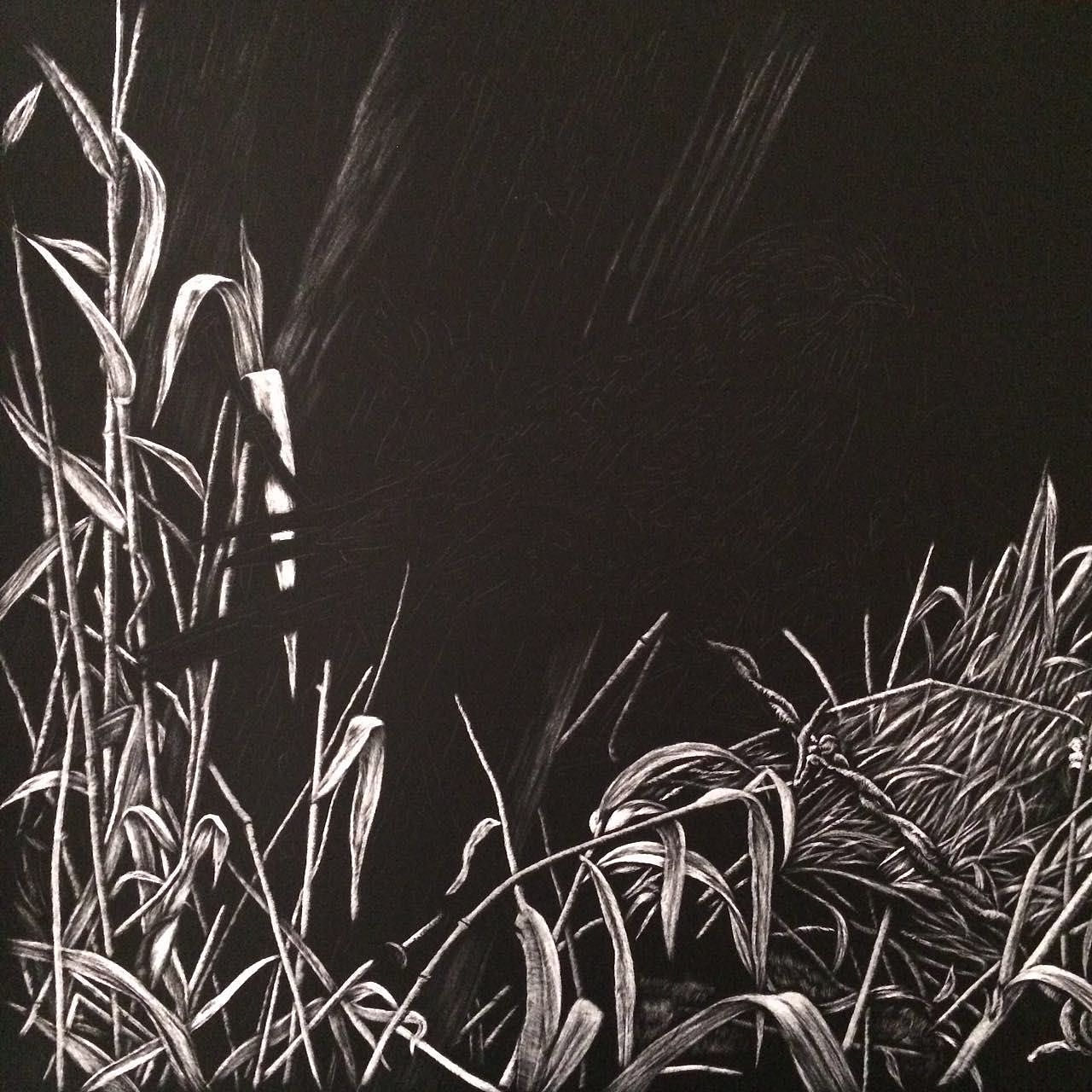 李子哥刮画作品过客1