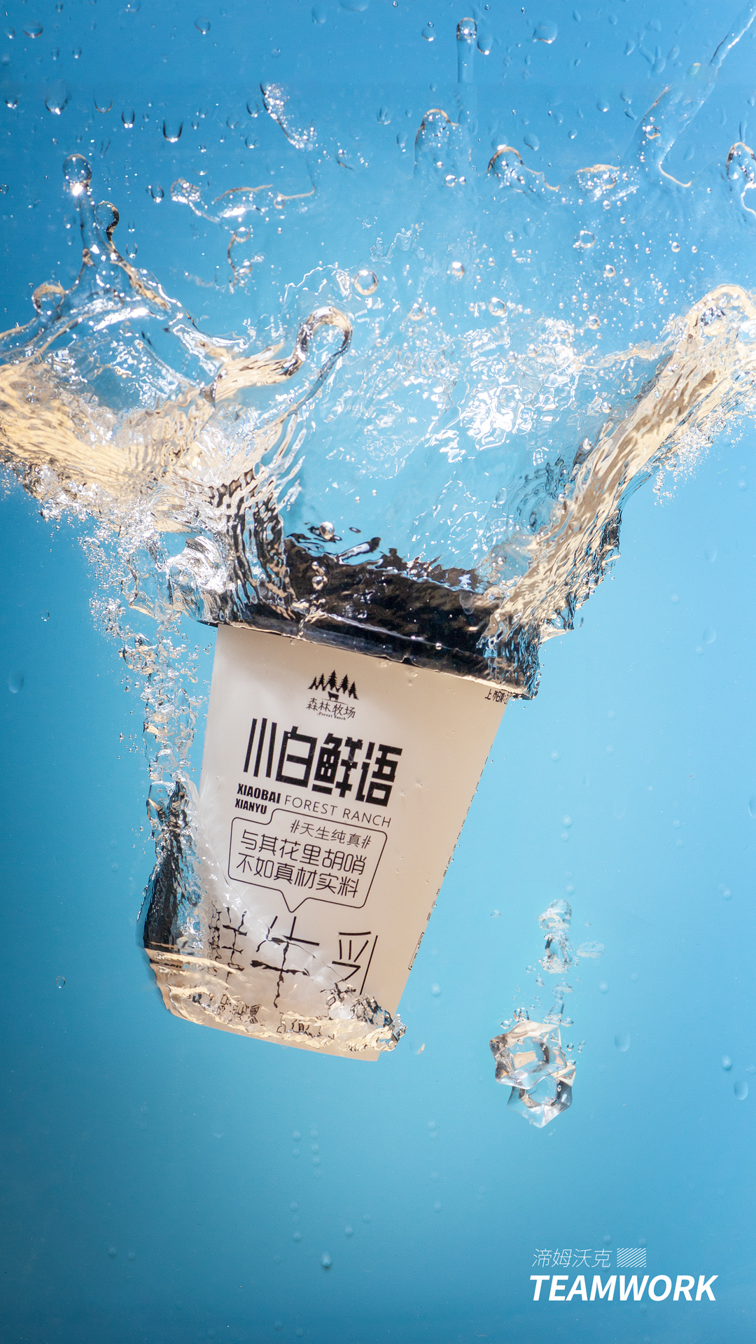 云南乍甸森林牧场鲜牛乳牛奶