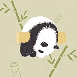 何时休10969的头像