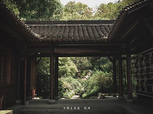 “早晚复相逢”