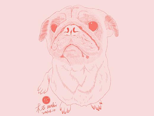小动物插画线稿第一弹（个人主页-ZNTM2ODYzNDQ=） - 商业插画 - 站酷设计师木石8126GO原创素材 - 站酷ZCOOL