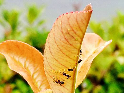 保持松弛 學會留白（個人主頁-ZNjg4MTY2OTY=） - 風光攝影 - 站酷設(shè)計師山雨木春原創(chuàng)素材 - 站酷ZCOOL