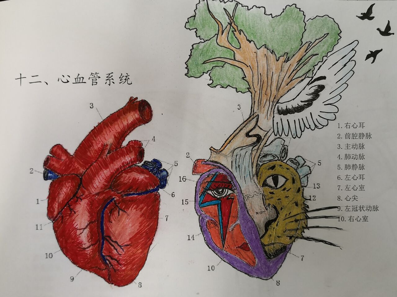 创意医学心脏|纯艺术|绘画|z182628115 - 原创作品 - 站酷 (zcool)