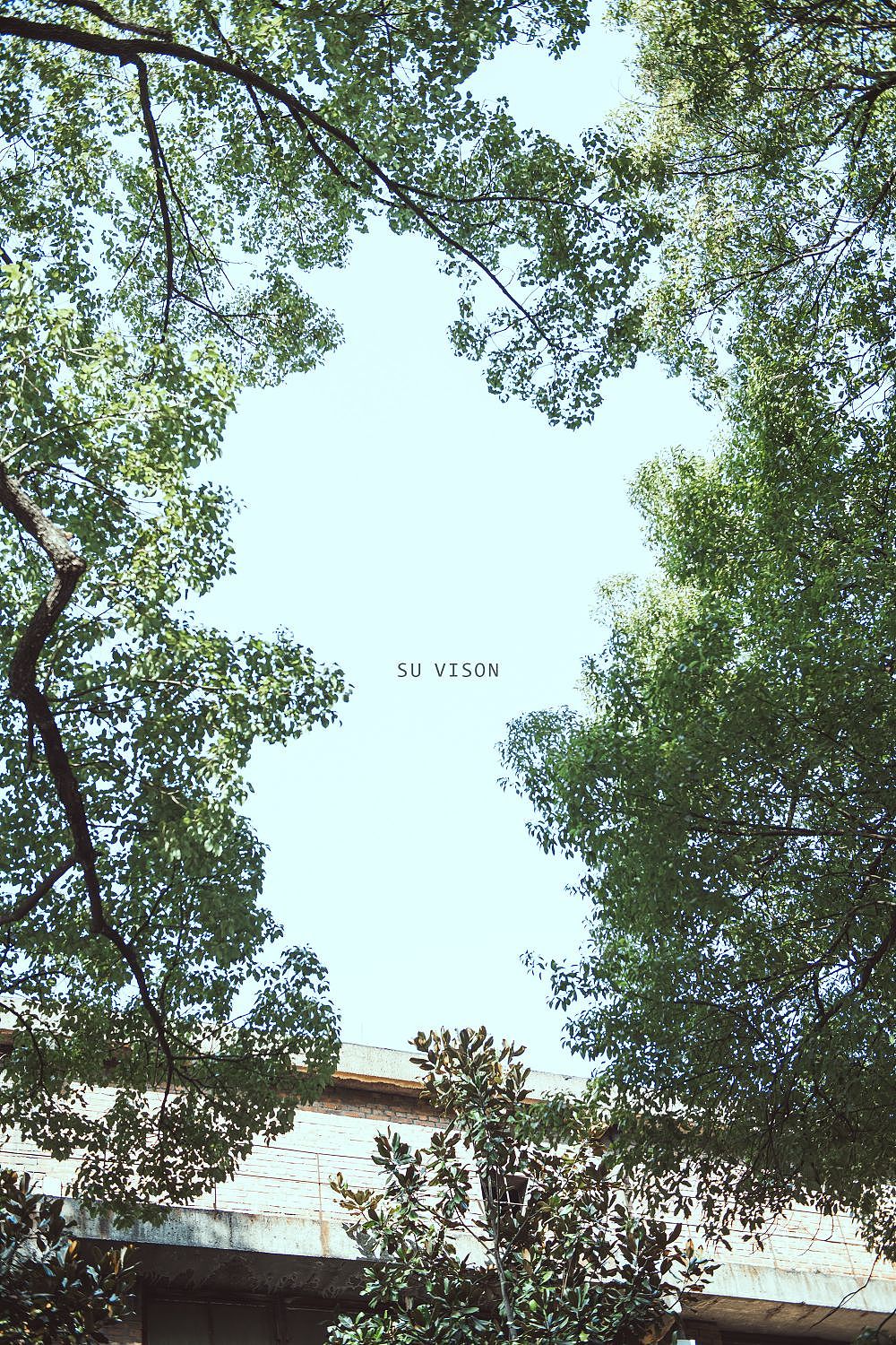 氛围感主题拍摄