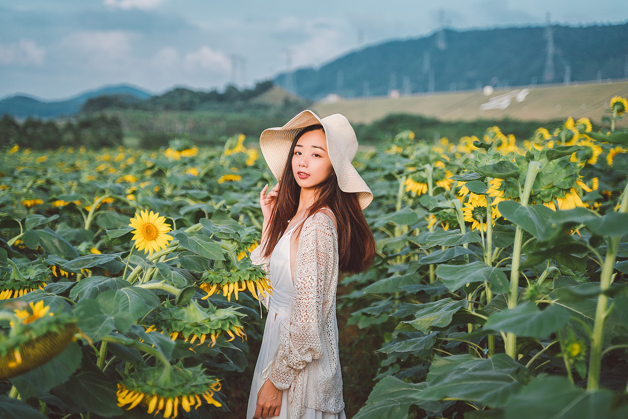 太阳有很多向日葵，可向日葵只有一个太阳