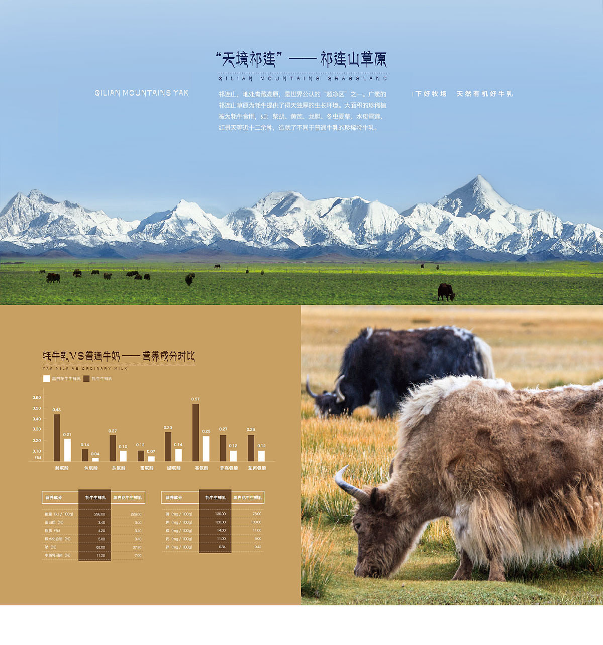 青藏祁莲 牦牛奶 包装设计&移动端H5设计