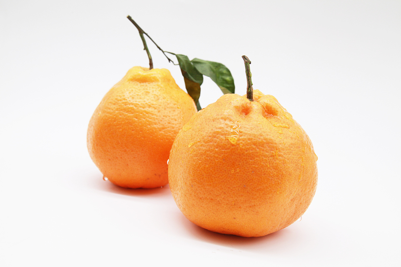四川丑橘图片（丑橘的生长过程图片） – 碳资讯