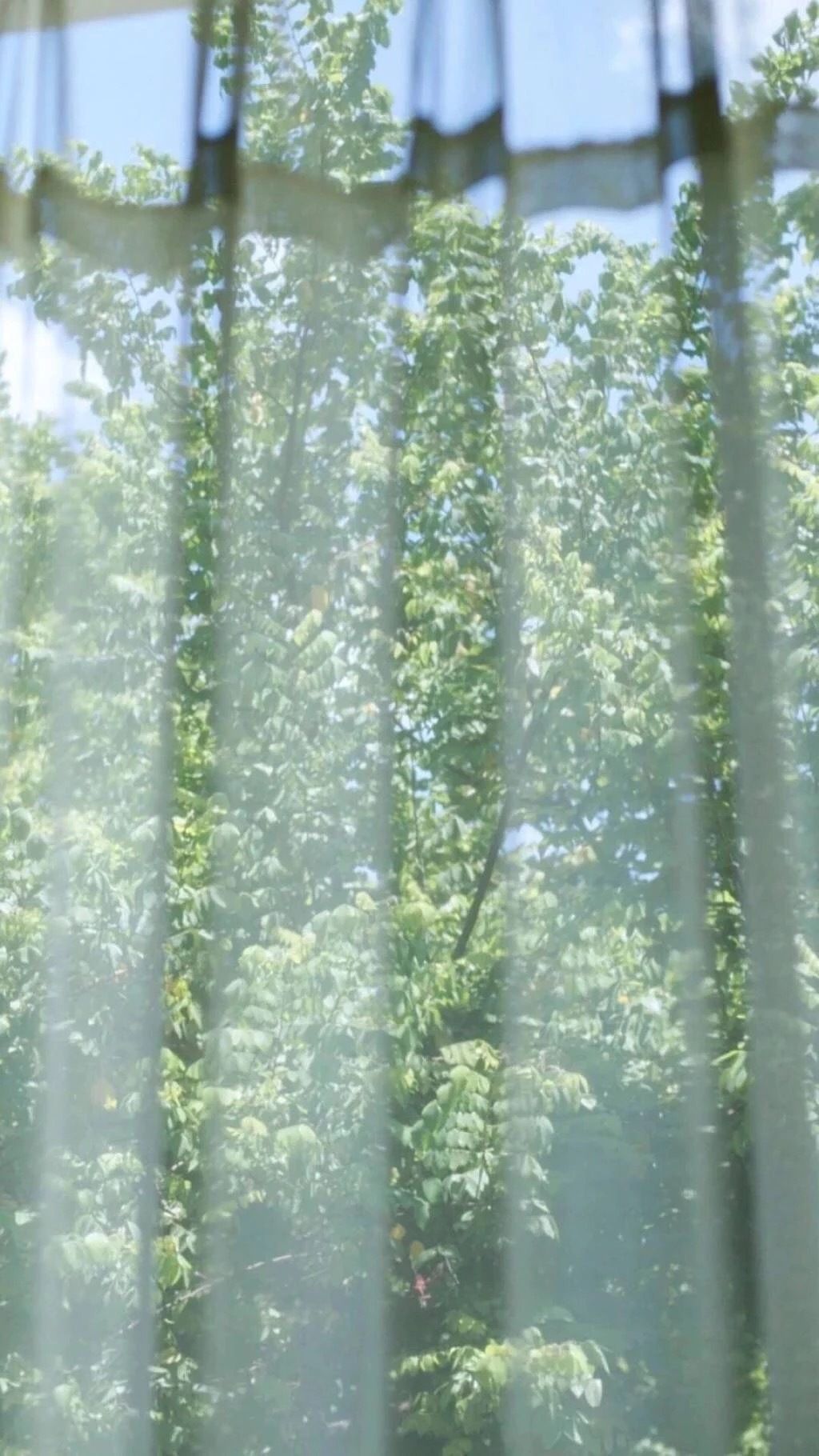 長谷川凜子的個人主頁（背景預(yù)覽） - 主頁背景設(shè)置 - 站酷設(shè)計師長谷川凜子原創(chuàng)素材 - 站酷ZCOOL