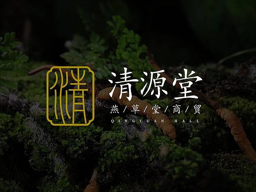 清源堂LOGO设计