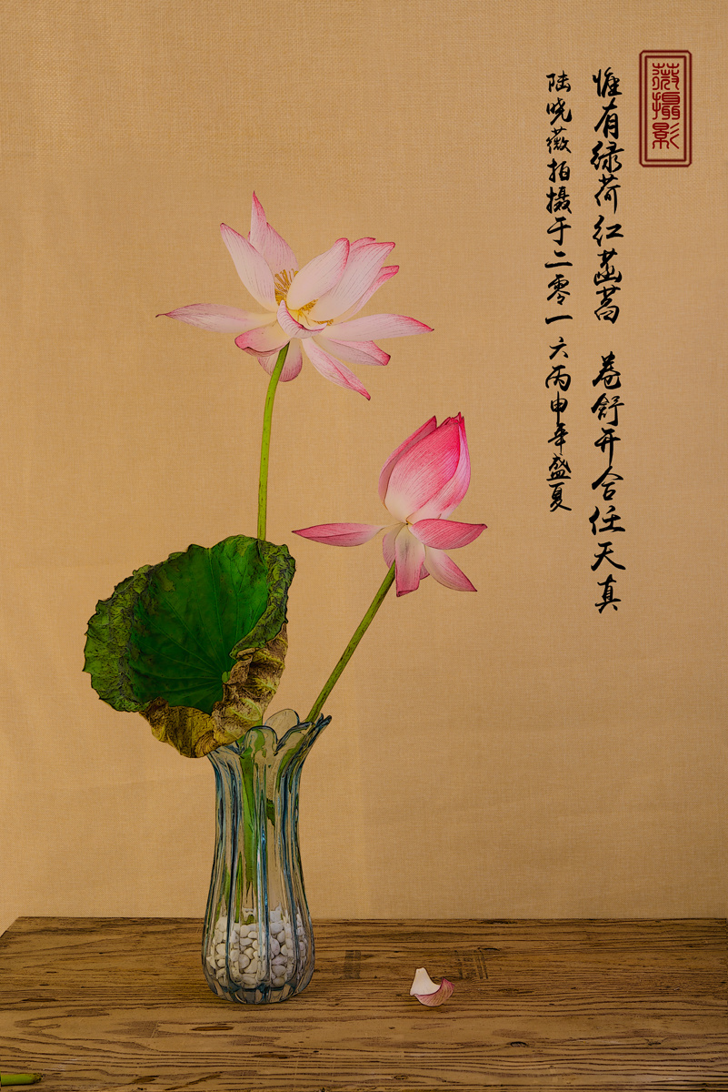 荷花与青花瓷器摆件