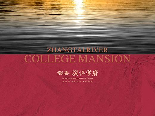 滨江学府视觉演绎